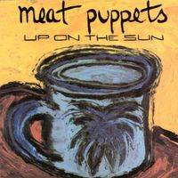 Meat Puppets : Up on the Sun